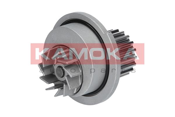 Pompa de apa KAMOKA T0066