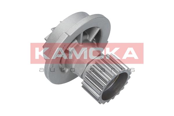 Pompa de apa KAMOKA T0066