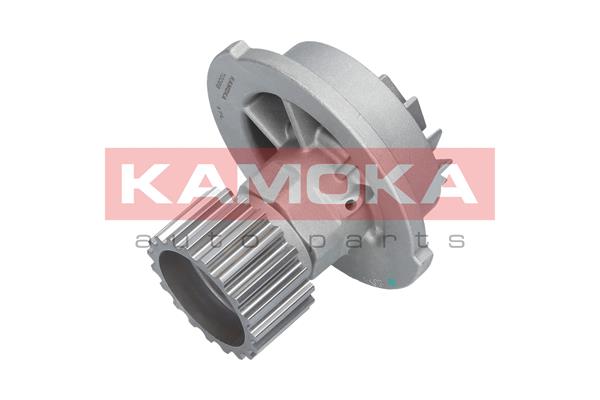 Pompa de apa KAMOKA T0066