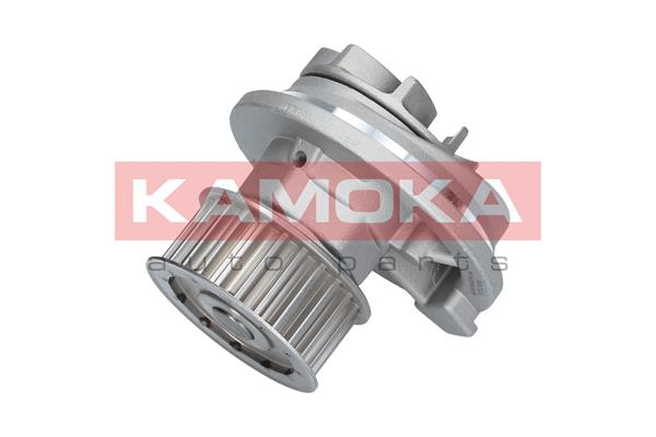 Pompa de apa KAMOKA T0069