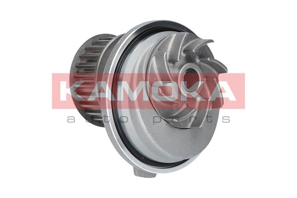 Pompa de apa KAMOKA T0069