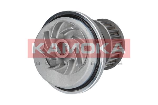 Pompa de apa KAMOKA T0069