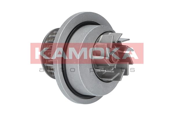 Pompa de apa KAMOKA T0070