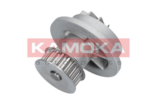 Pompa de apa KAMOKA T0070