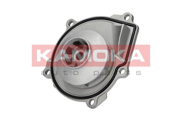 Pompa de apa KAMOKA T0074