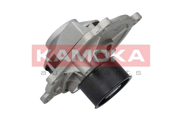 Pompa de apa KAMOKA T0074