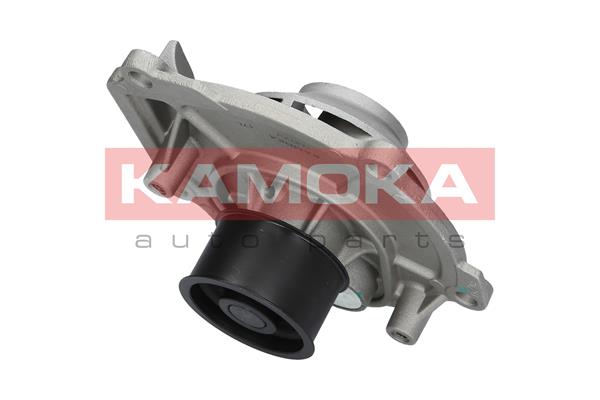 Pompa de apa KAMOKA T0074