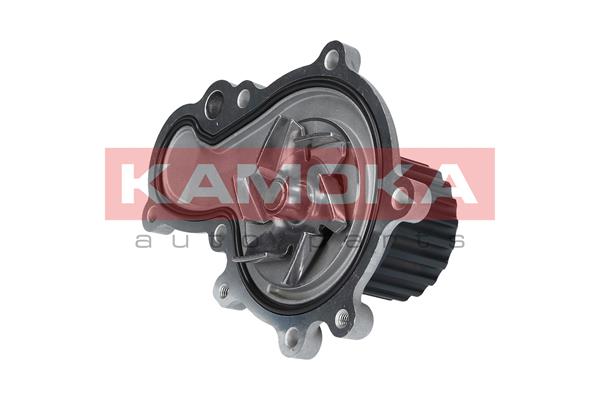 Pompa de apa KAMOKA T0075
