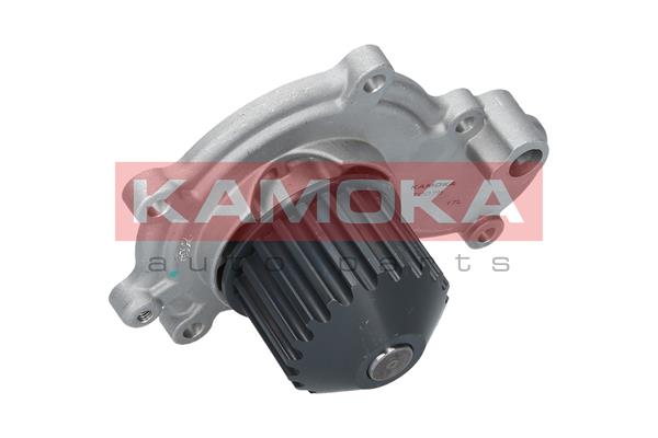 Pompa de apa KAMOKA T0075