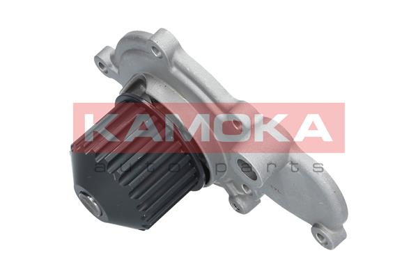 Pompa de apa KAMOKA T0075