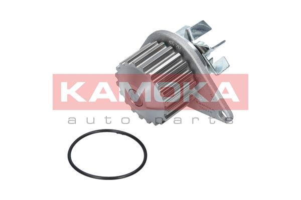 Pompa de apa KAMOKA T0078