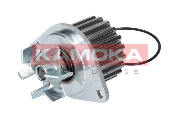 Pompa de apa KAMOKA T0078