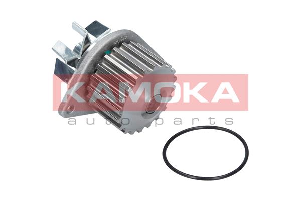 Pompa de apa KAMOKA T0078