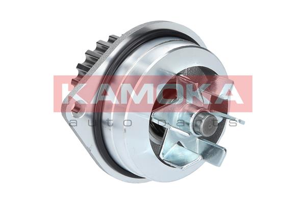 Pompa de apa KAMOKA T0079