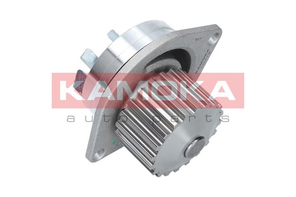 Pompa de apa KAMOKA T0079