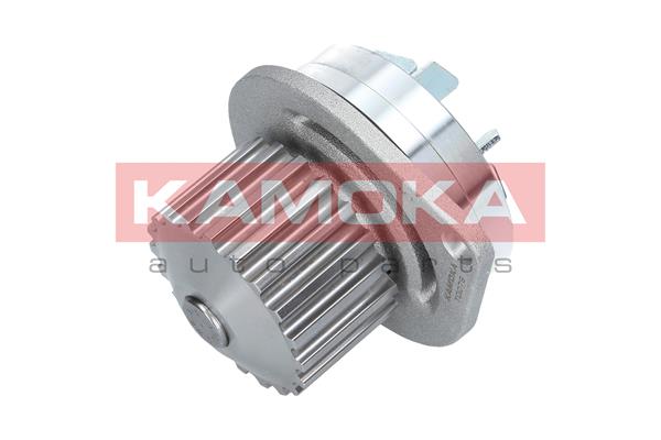 Pompa de apa KAMOKA T0079