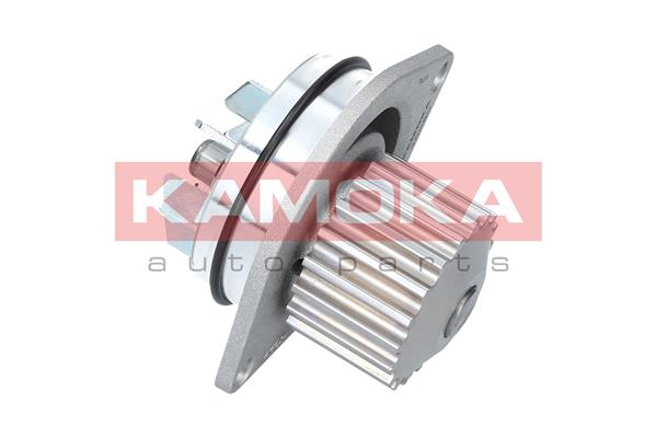 Pompa de apa KAMOKA T0080