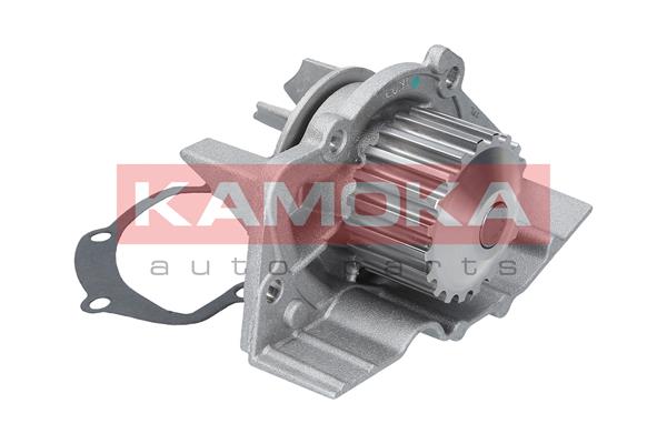 Pompa de apa KAMOKA T0082