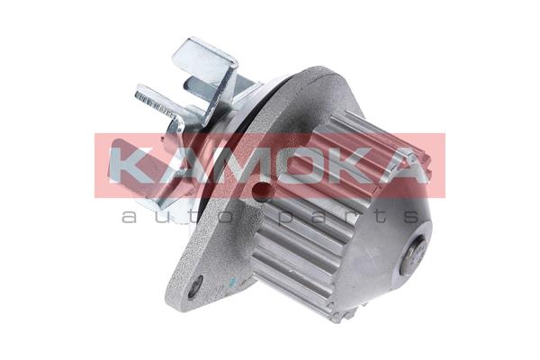 Pompa de apa KAMOKA T0083