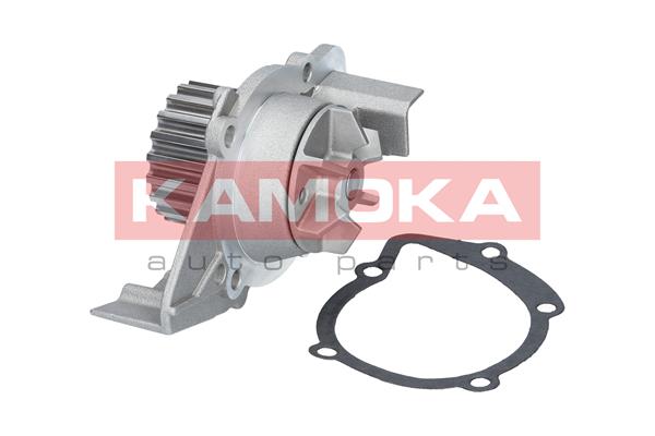 Pompa de apa KAMOKA T0084