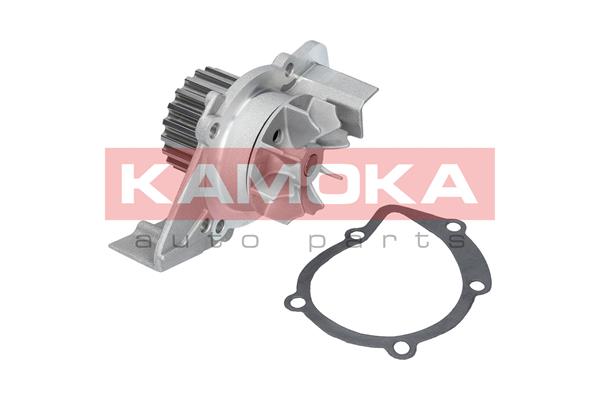 Pompa de apa KAMOKA T0085