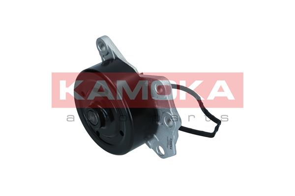 Pompa de apa KAMOKA T0088
