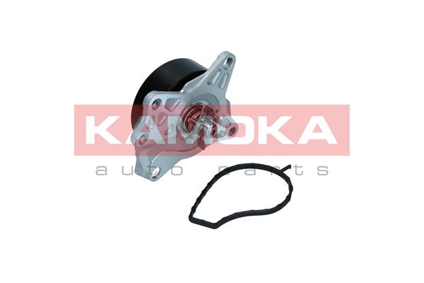 Pompa de apa KAMOKA T0088