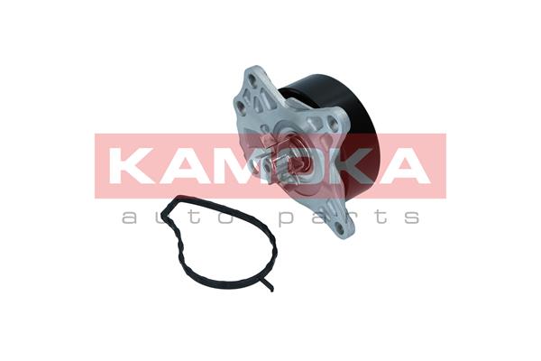 Pompa de apa KAMOKA T0088