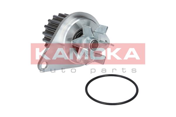 Pompa de apa KAMOKA T0089