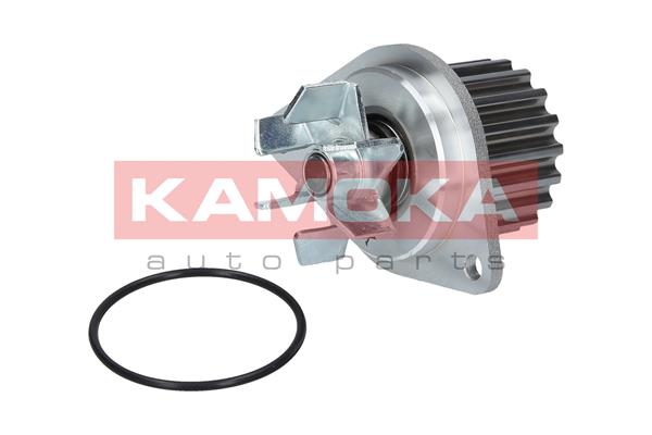 Pompa de apa KAMOKA T0089