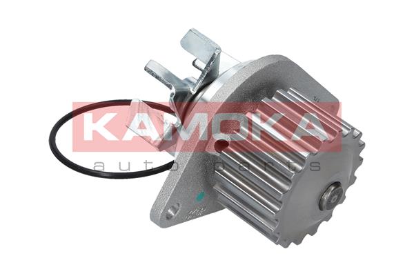 Pompa de apa KAMOKA T0089