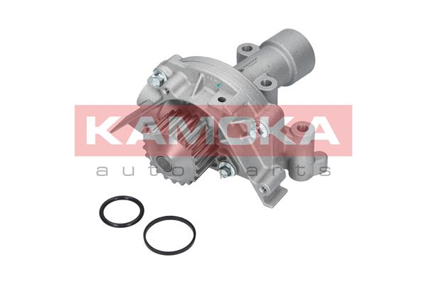 Pompa de apa KAMOKA T0090