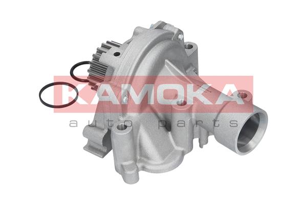 Pompa de apa KAMOKA T0090