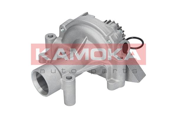 Pompa de apa KAMOKA T0090
