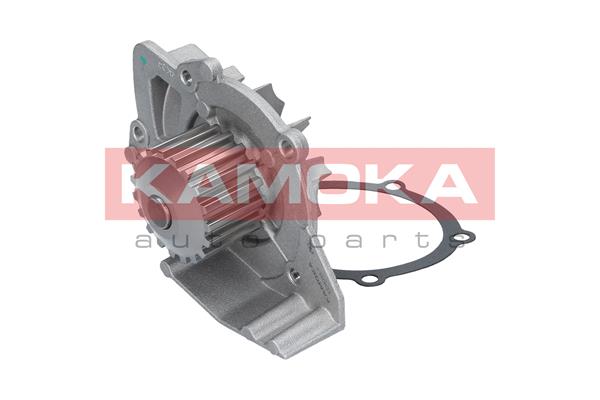 Pompa de apa KAMOKA T0091