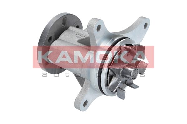Pompa de apa KAMOKA T0093