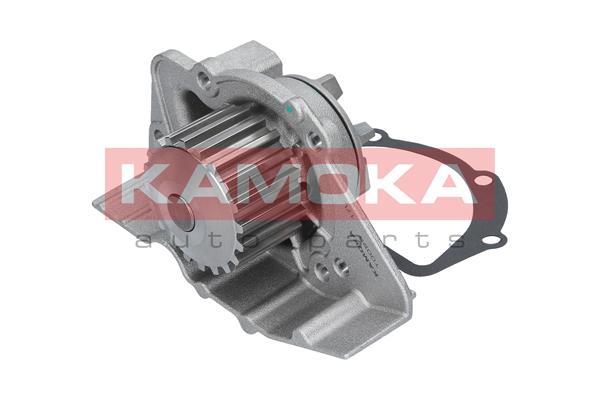 Pompa de apa KAMOKA T0099