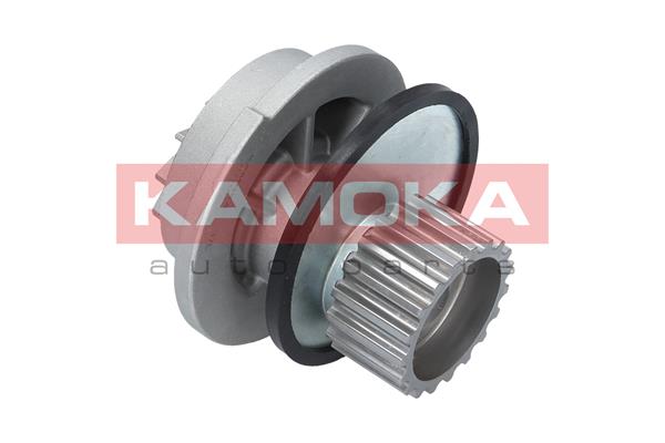 Pompa de apa KAMOKA T0106