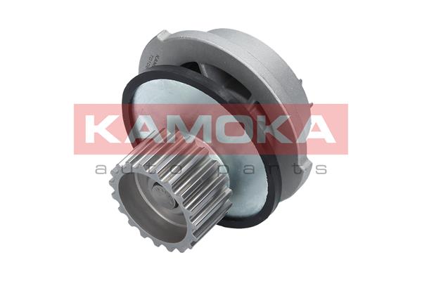 Pompa de apa KAMOKA T0106