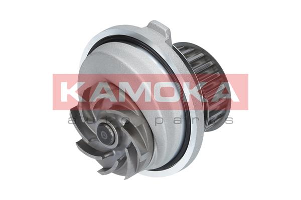 Pompa de apa KAMOKA T0107