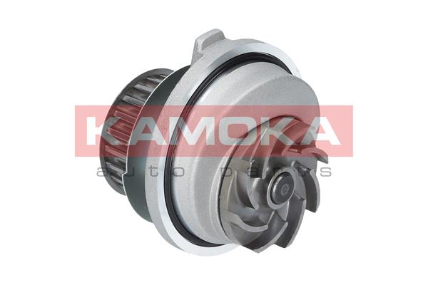 Pompa de apa KAMOKA T0107