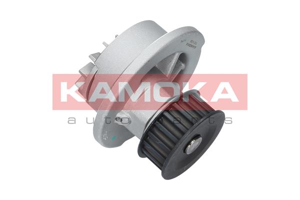 Pompa de apa KAMOKA T0108