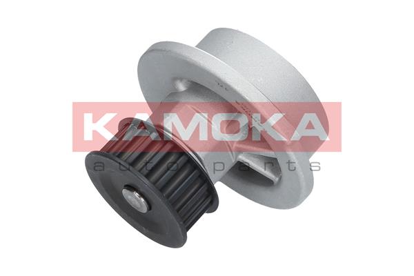 Pompa de apa KAMOKA T0108
