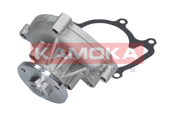 Pompa de apa KAMOKA T0110