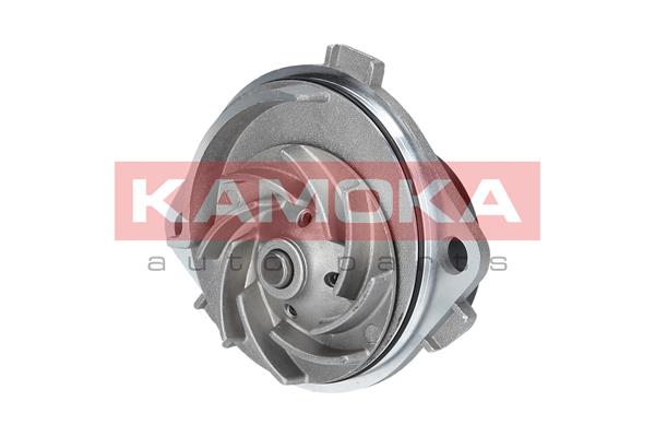Pompa de apa KAMOKA T0111
