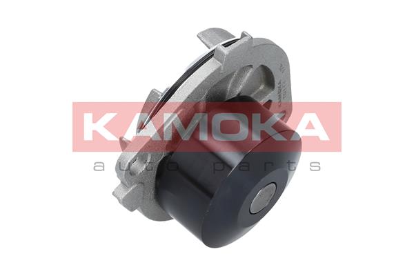 Pompa de apa KAMOKA T0111