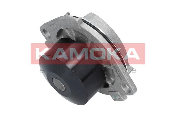 Pompa de apa KAMOKA T0111
