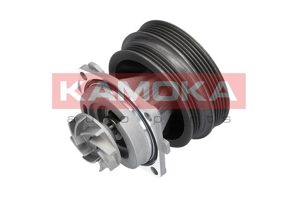 Pompa de apa KAMOKA T0112