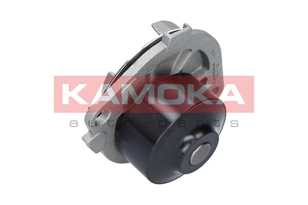 Pompa de apa KAMOKA T0113