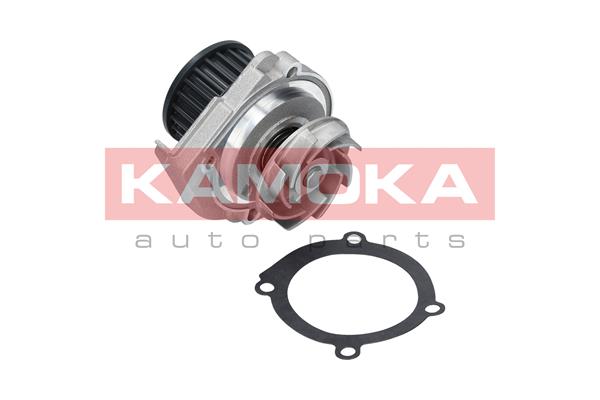 Pompa de apa KAMOKA T0114